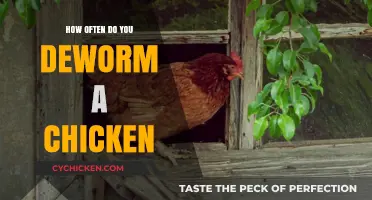 Deworming Chickens: Optimal Frequency for Healthy Flock Maintenance