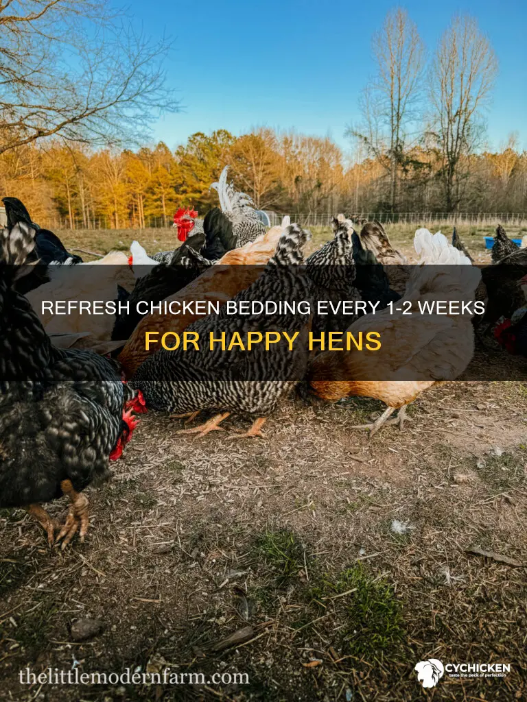 how often do you have to change chicken bedding