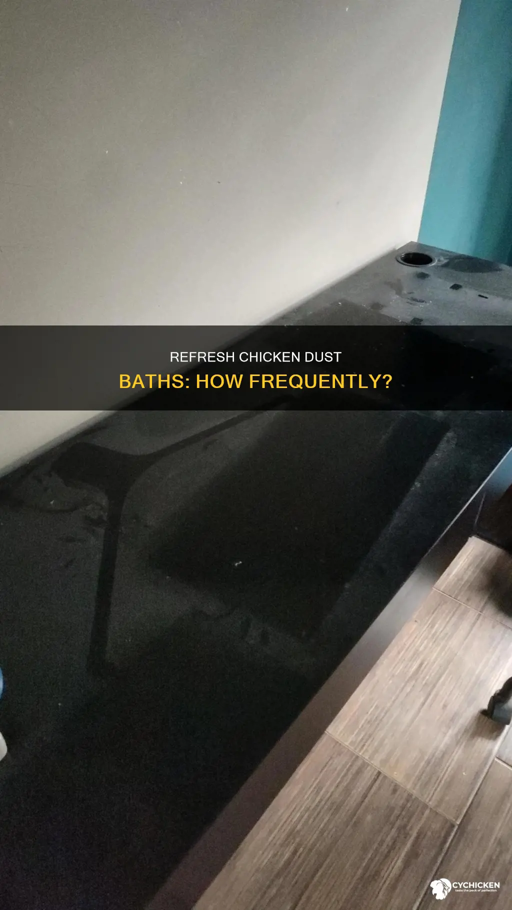 how often do you have to change chicken dust bath