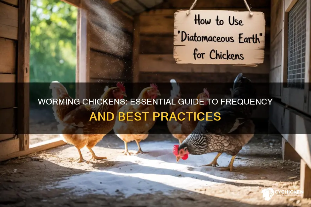 how often do you worm a chicken
