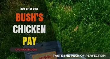 Bush's Chicken Pay Frequency: Understanding Employee Compensation Schedule