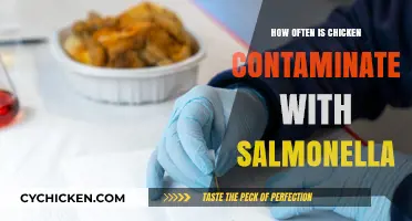 Salmonella Risks: How Often Is Chicken Contaminated?