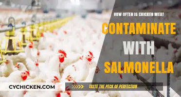 Chicken and Salmonella: A Common Contamination Concern