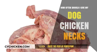 Feeding Chicken Necks to Your Dog: How Often Is Safe?
