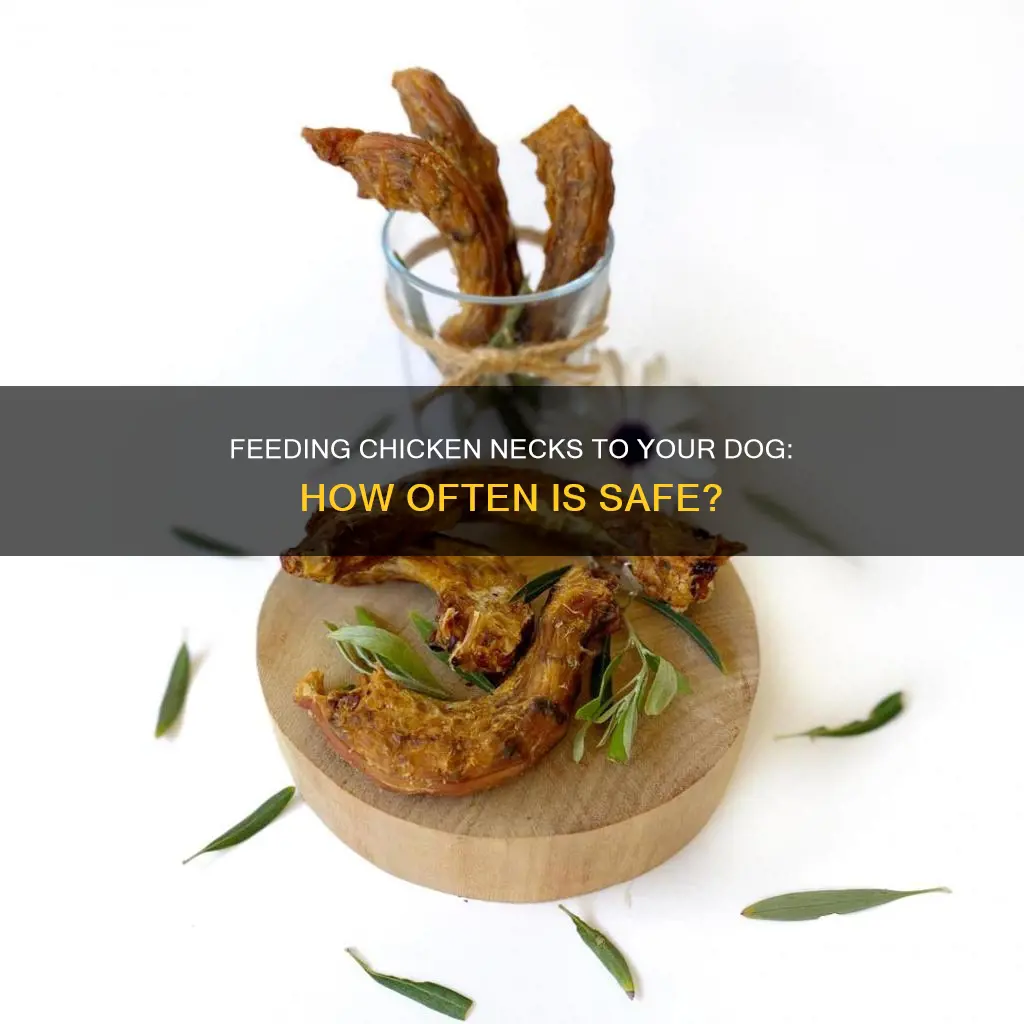 how often should i give my dog chicken necks