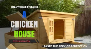 Keeping a Clean Chicken Coop: How Often to Clean?