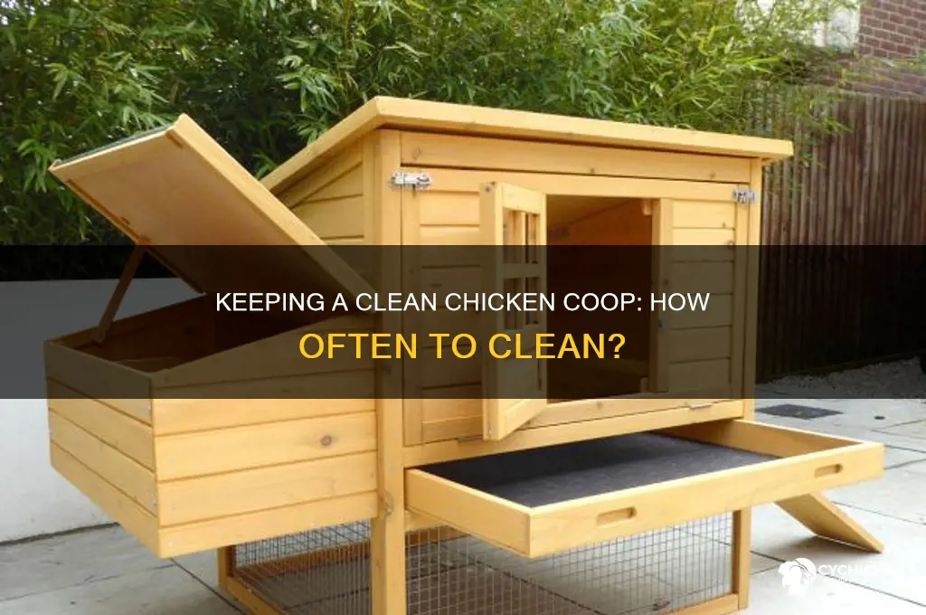 how often should you clean a chicken house