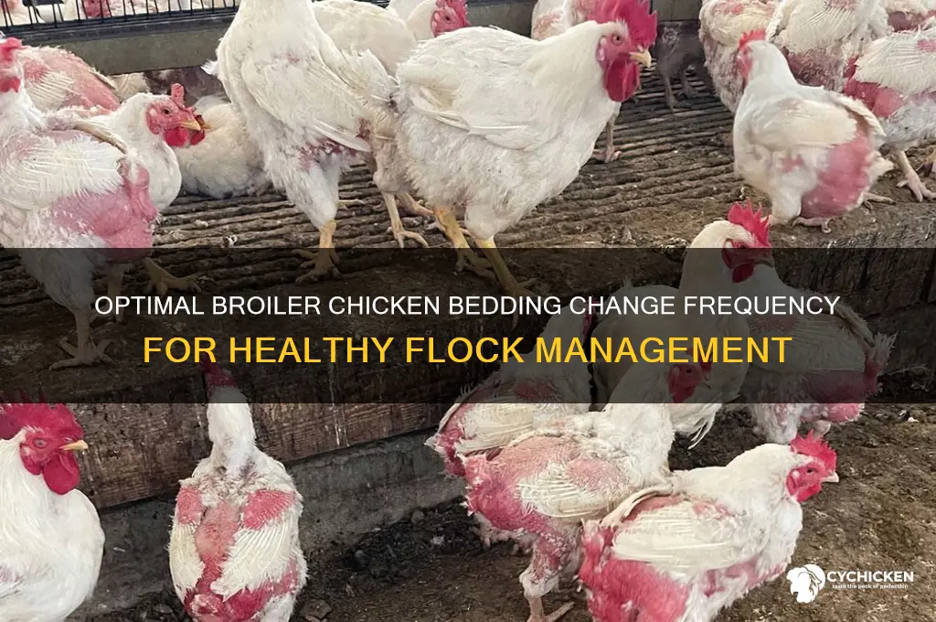 how often to change broiler chicken bedding