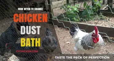 Optimal Frequency for Changing Your Chicken's Dust Bath: A Guide