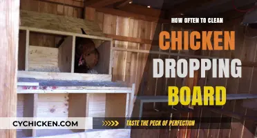 Optimal Cleaning Frequency for Chicken Dropping Boards: A Practical Guide