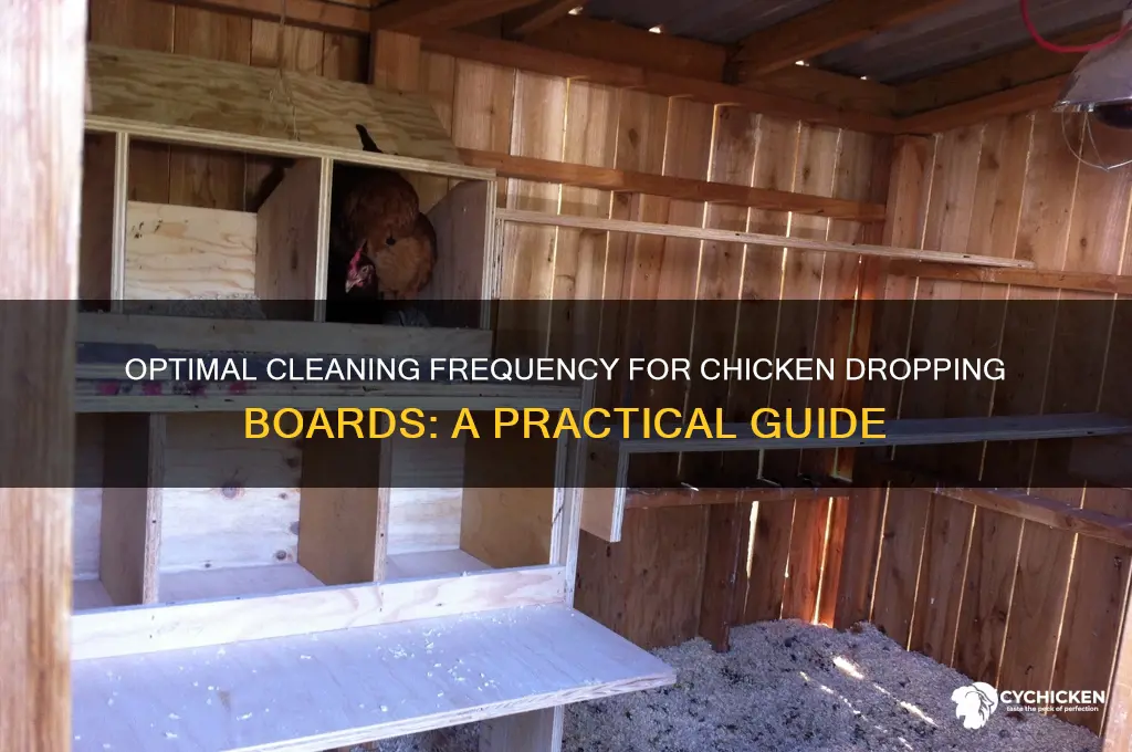 how often to clean chicken dropping board