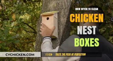 Keeping Your Chicken Nest Boxes Clean: A Simple Maintenance Guide