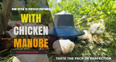 Fertilizing Pastures: Chicken Manure Frequency for Healthy Grass