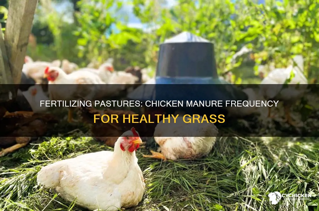 how often to fertilize pastures with chicken manure