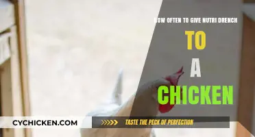 Nutri Drench for Chickens: How Often Is Too Often?