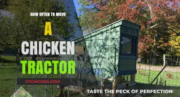 Optimal Chicken Tractor Relocation Frequency for Healthy Pasture and Poultry