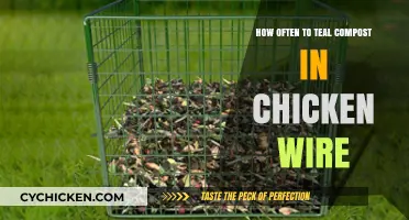 Teal Composting: Chicken Wire Maintenance Tips