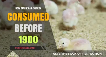 Historical Chicken Consumption: Pre-1900 Eating Habits and Trends