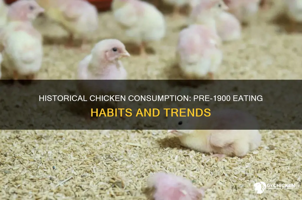 how often was chicken consumed before 1900