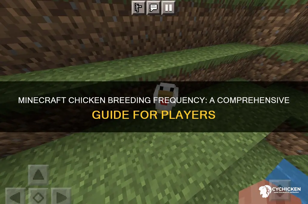 how ofter do chicken breed in mindecraft