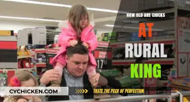 Rural King Chicks: Understanding Their Age and Care Tips