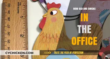 Exploring the Ages of Chicks in the Office: A Comprehensive Guide