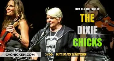 The Dixie Chicks: Their Ages Revealed