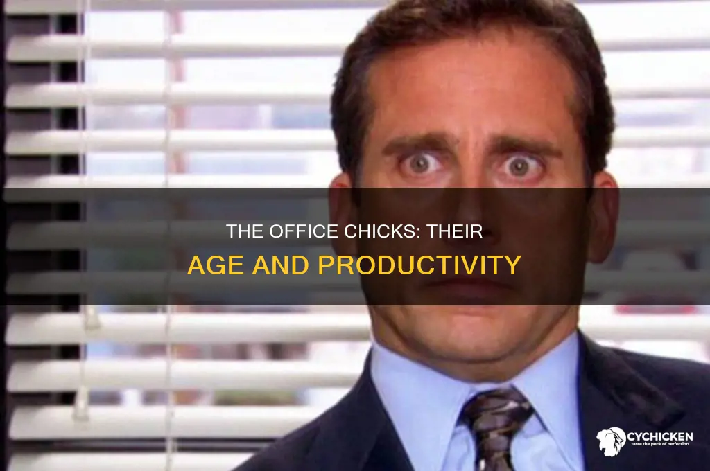 how old are the chicks in the office