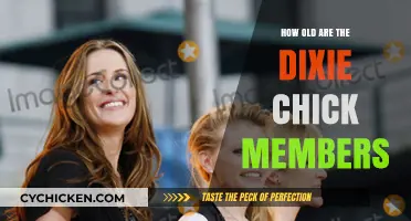 Dixie Chicks Members' Ages: Unveiling the Timeless Trio's Journey