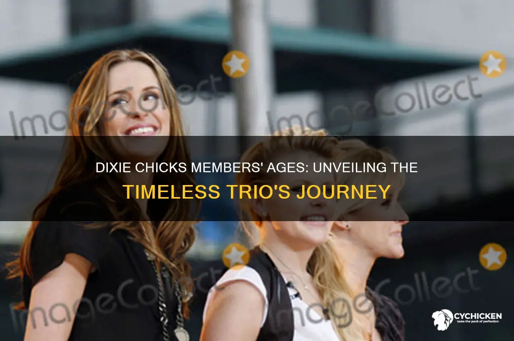 how old are the dixie chick members