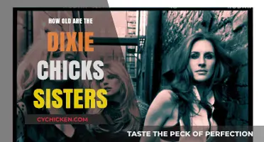 Dixie Chicks Sisters' Ages: Unveiling the Timeless Bond of the Trio