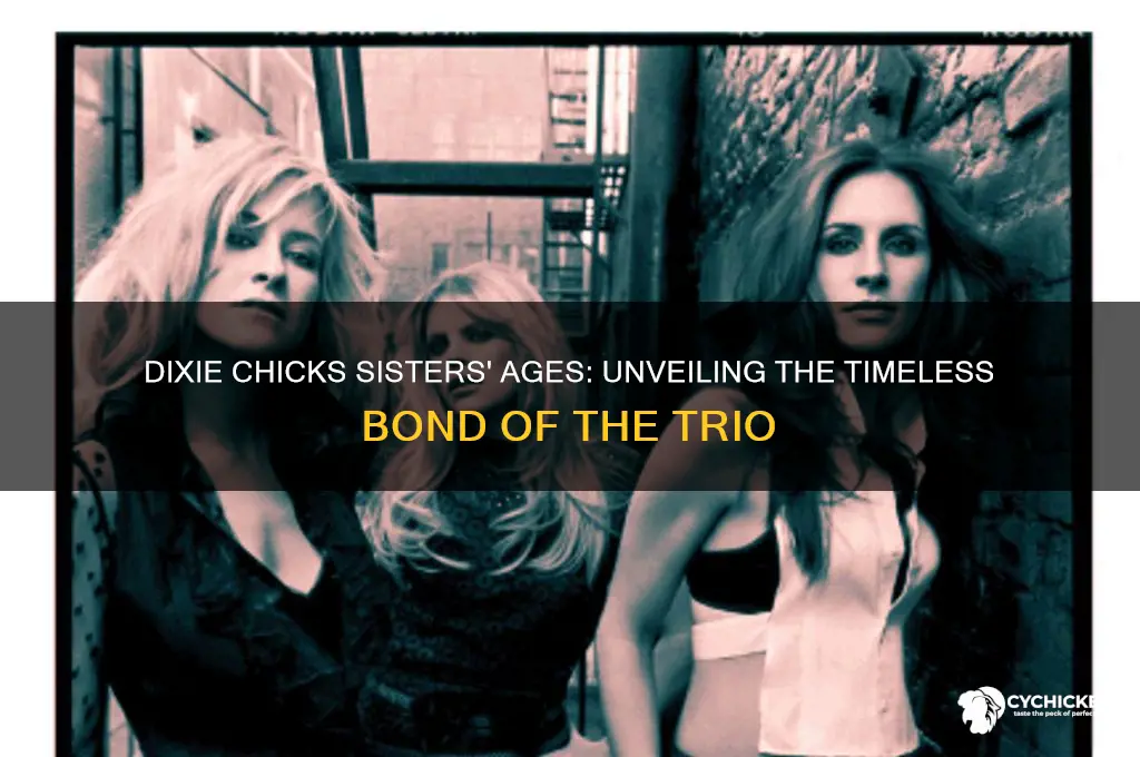 how old are the dixie chicks sisters