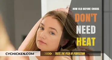 Chicks' Heat Independence: When Do They Not Need Extra Warmth?
