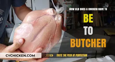 Best Age to Butcher Your Chickens