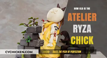 Atelier Ryza's Reisalin Stout: Unveiling Her Age and Charming Personality