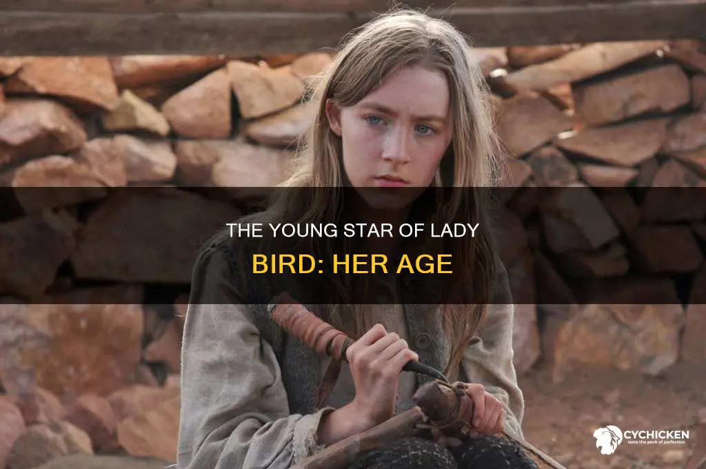 how old is the chick from lady bird