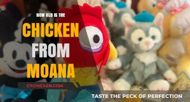 Unveiling Heihei's Age: The Timeless Chicken from Moana Explored