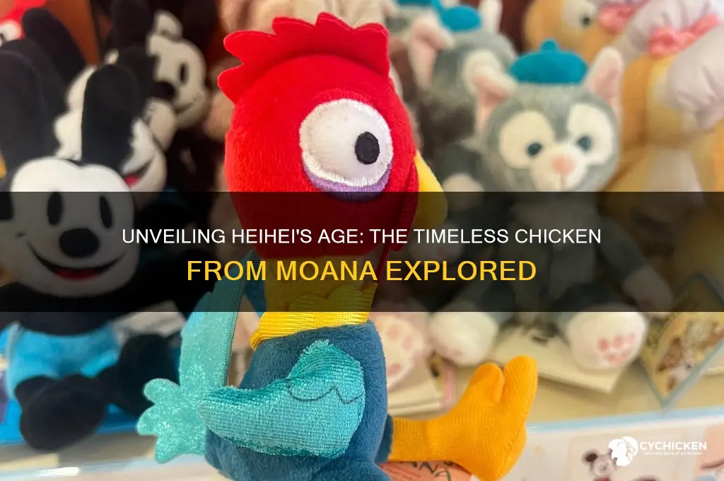how old is the chicken from moana