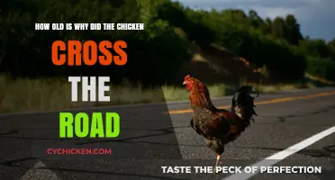 The Chicken Crossing Road Riddle: A Timeless Mystery