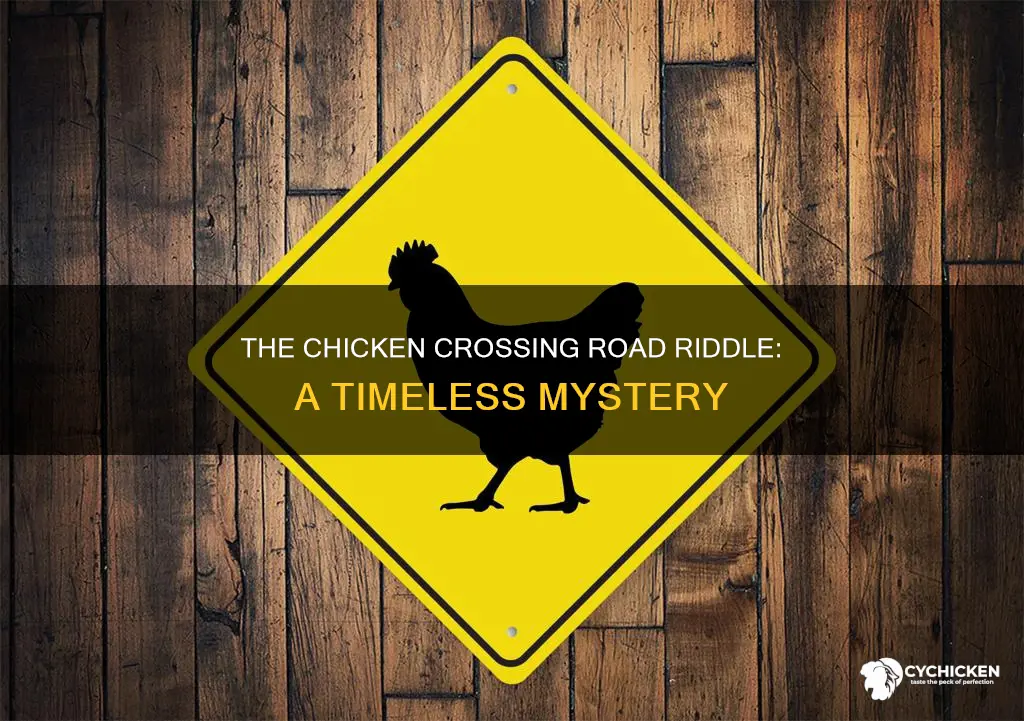 how old is why did the chicken cross the road