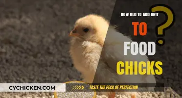 Introducing Grit: When and How to Feed Your Chicks