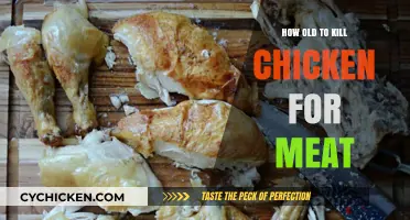 Optimal Age for Harvesting Chickens: A Guide to Meat Quality