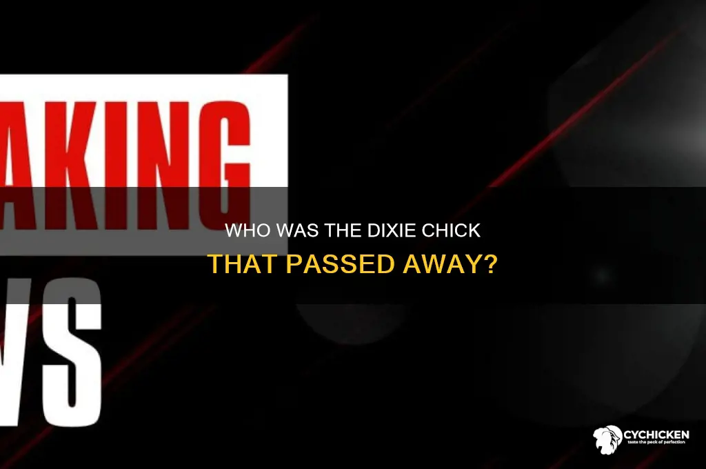 how old was the dixie chick that died