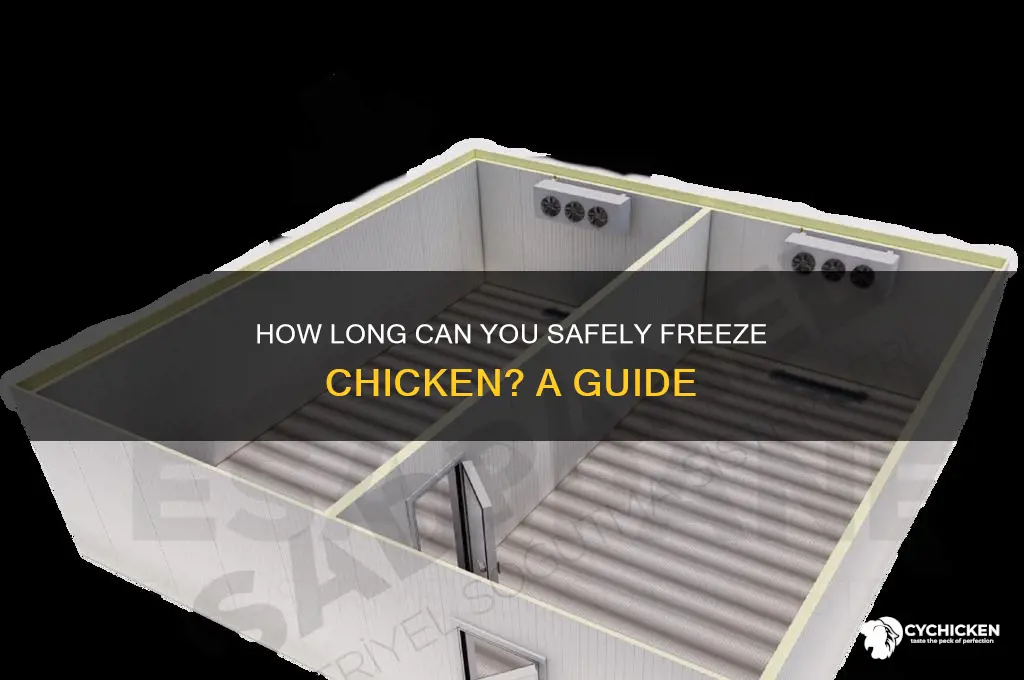 how ong is chicken ok in freezer