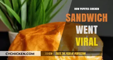 Popeyes Chicken Sandwich Craze: How a Fast-Food War Went Viral