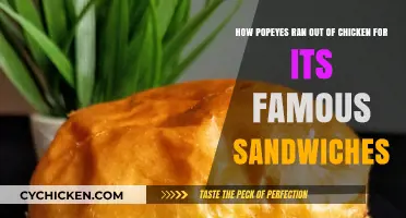 Popeyes Chicken Sandwich Craze: How Demand Outpaced Supply Overnight