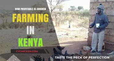 Profitable Chicken Farming in Kenya: Opportunities and Challenges Explored