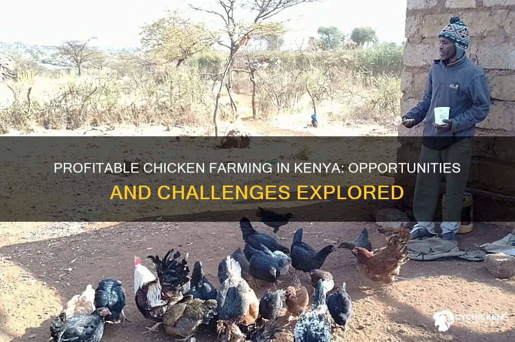 how profitable is chicken farming in kenya