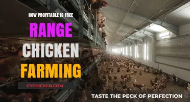 Is Free Range Chicken Farming a Profitable Venture for You?