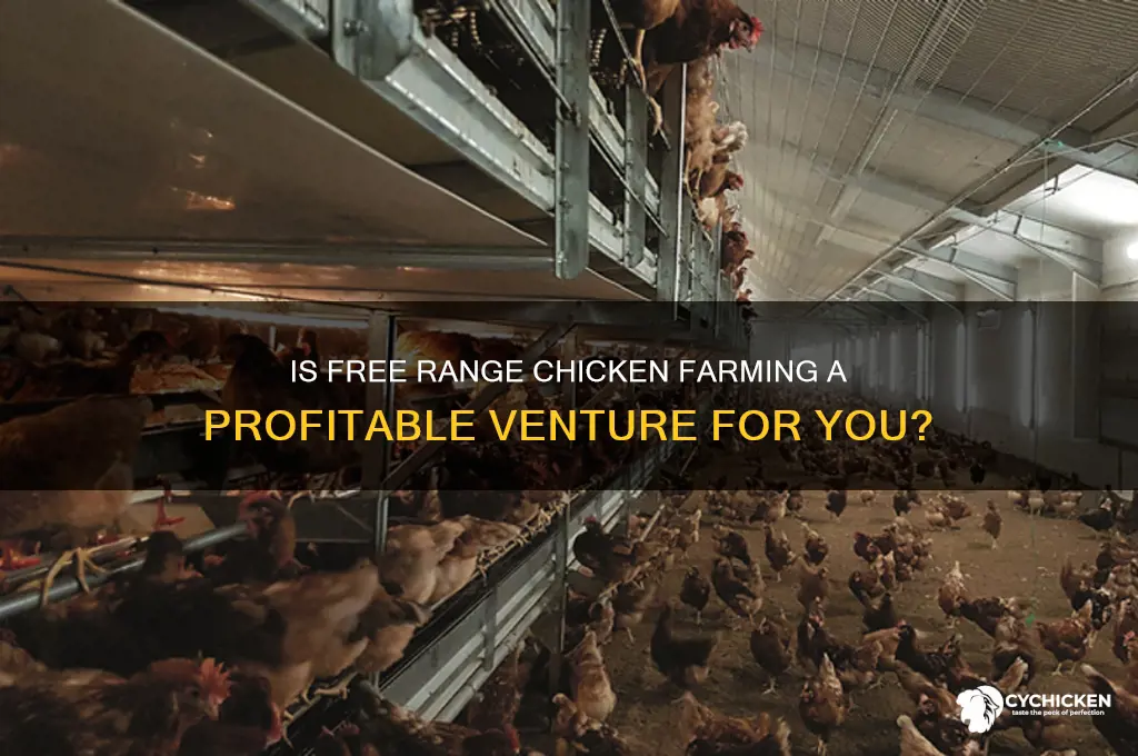 how profitable is free range chicken farming